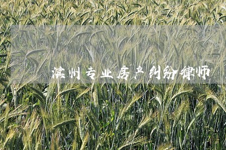 滨州专业房产纠纷律师 滨州专业房产纠纷律师