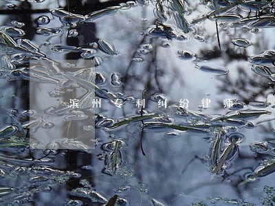滨州专利纠纷律师 滨州专利纠纷律师
