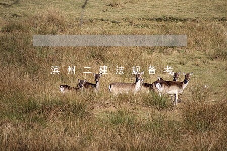 滨州二建法规备考 滨州二建法规备考