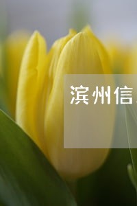 滨州信用卡逾期停息分期怎么协商 滨州信用卡逾期停息分期怎么协商