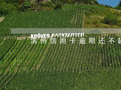 滨州信用卡逾期还不起怎么办 滨州信用卡逾期还不起怎么办