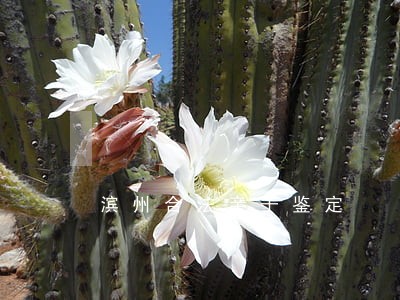 滨州合法亲子鉴定 滨州合法亲子鉴定