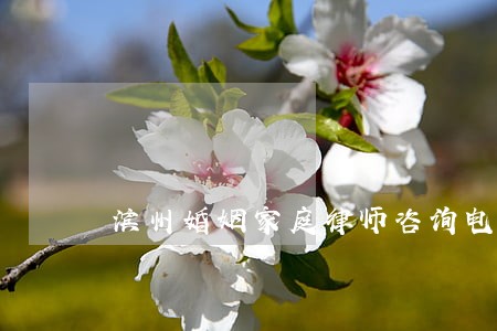 滨州婚姻家庭律师咨询电话 滨州婚姻家庭律师咨询电话