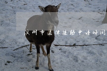 滨州市法律援助申请时间 滨州市法律援助申请时间