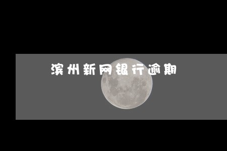 滨州新网银行逾期 滨州新网银行逾期