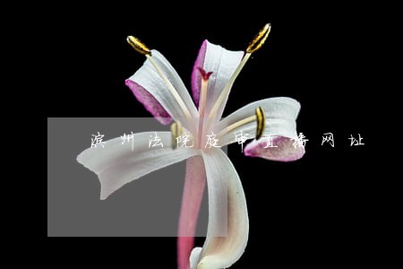 滨州法院庭审直播网址 滨州法院庭审直播网址
