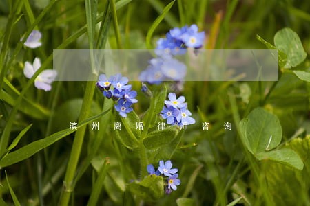 滨州离婚律师咨询 滨州离婚律师咨询