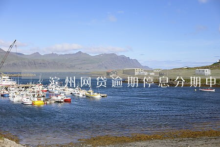 滨州网贷逾期停息分期申请条件