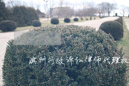 滨州行政诉讼律师代理权限怎么找 滨州行政诉讼律师代理权限怎么找