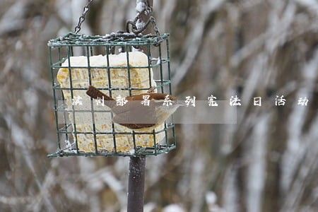 滨州部署系列宪法日活动 滨州部署系列宪法日活动