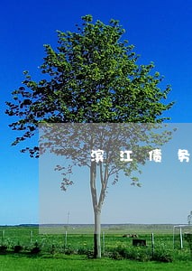 滨江债务债权律师 滨江债务债权律师