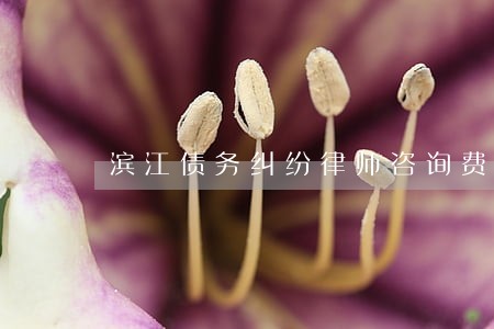 滨江债务纠纷律师咨询费用 滨江债务纠纷律师咨询费用