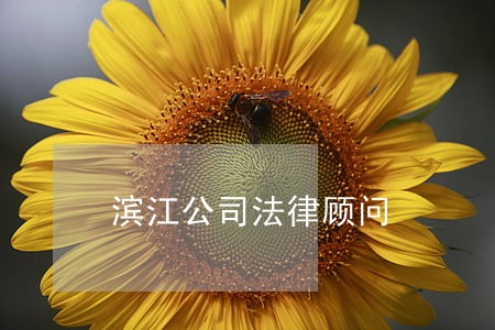 滨江公司法律顾问 滨江公司法律顾问