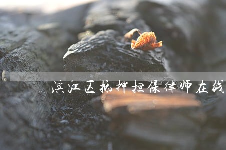 滨江区抵押担保律师在线免费咨询 滨江区抵押担保律师在线免费咨询