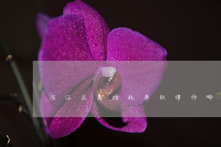 滨江区离婚抚养权律师哪家好 滨江区离婚抚养权律师哪家好
