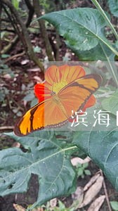 滨海医疗法律咨询 滨海医疗法律咨询