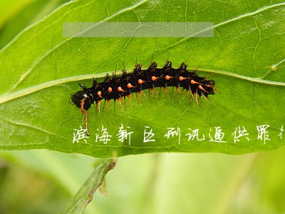 滨海新区刑讯逼供罪律师咨询费用 滨海新区刑讯逼供罪律师咨询费用