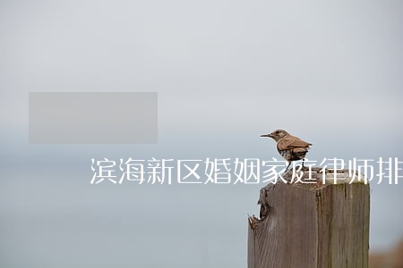 滨海新区婚姻家庭律师排名 滨海新区婚姻家庭律师排名