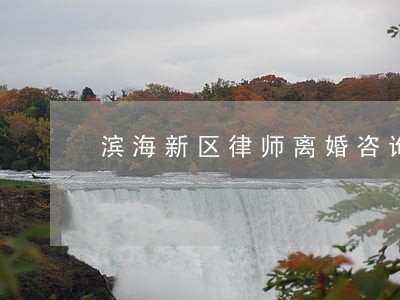 滨海新区律师离婚咨询