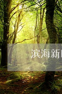 滨海新区房产纠纷代理律师 滨海新区房产纠纷代理律师