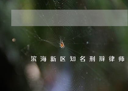 滨海新区知名刑辩律师价格