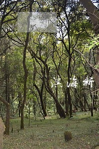 滨海新区离婚代理律师 滨海新区离婚代理律师