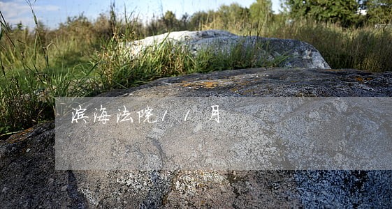 滨海法院11月 滨海法院11月