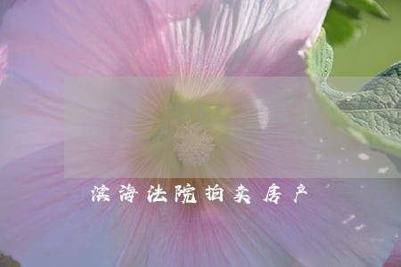 滨海法院拍卖房产 滨海法院拍卖房产