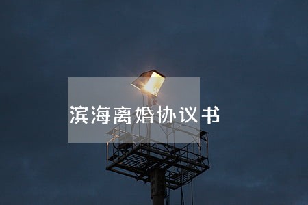 滨海离婚协议书 滨海离婚协议书