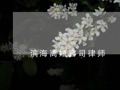 滨海离婚官司律师 滨海离婚官司律师