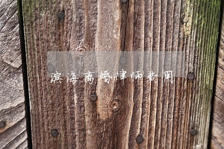 滨海离婚律师费用 滨海离婚律师费用