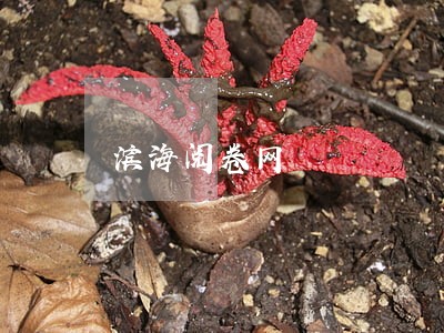 滨海阅卷网 滨海阅卷网