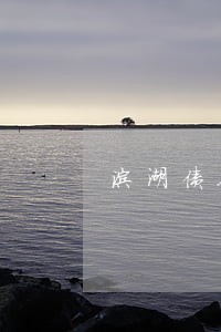 滨湖债务律师 滨湖债务律师