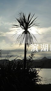 滨湖区公司清算纠纷律师委托流程 滨湖区公司清算纠纷律师委托流程