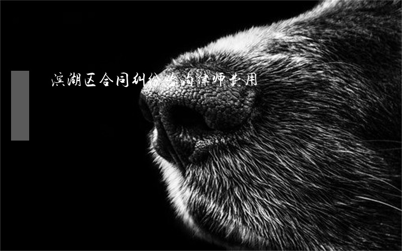 滨湖区合同纠纷咨询律师费用