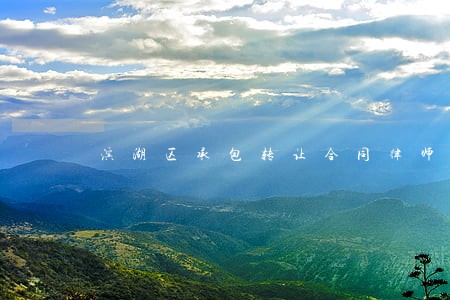 滨湖区承包转让合同律师法律服务 滨湖区承包转让合同律师法律服务