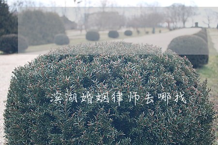 滨湖婚姻律师去哪找