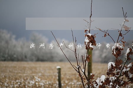 滨湖房产纠纷律师费用 滨湖房产纠纷律师费用