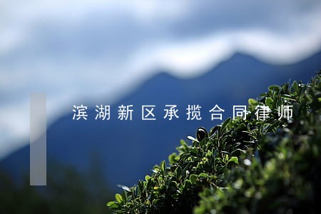 滨湖新区承揽合同律师