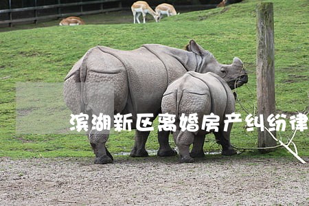 滨湖新区离婚房产纠纷律师