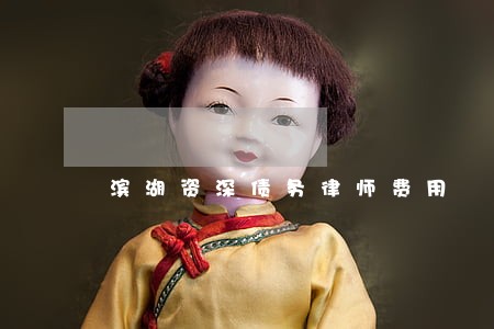 滨湖资深债务律师费用 滨湖资深债务律师费用