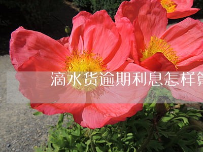 滴水货逾期利息怎样算 滴水货逾期利息怎样算