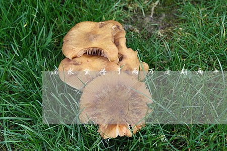 滴水贷借了两万逾期两年多了 滴水贷借了两万逾期两年多了