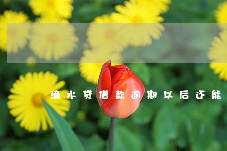 滴水贷借款逾期以后还能再借嘛 滴水贷借款逾期以后还能再借嘛