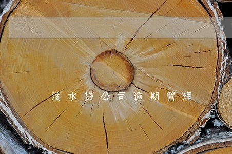 滴水贷公司逾期管理 滴水贷公司逾期管理