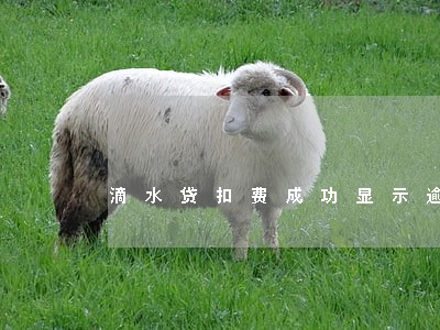 滴水贷扣费成功显示逾期 滴水贷扣费成功显示逾期