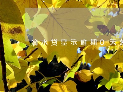 滴水贷显示逾期0天怎么办 滴水贷显示逾期0天怎么办