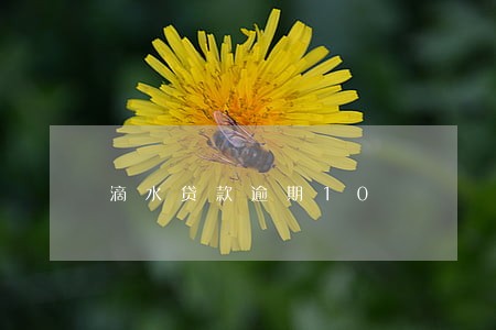 滴水贷款逾期10