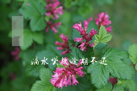 滴水贷款逾期不还 滴水贷款逾期不还