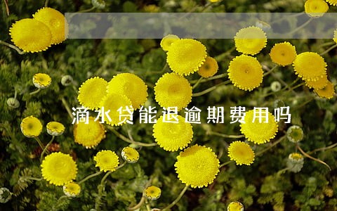 滴水贷能退逾期费用吗 滴水贷能退逾期费用吗
